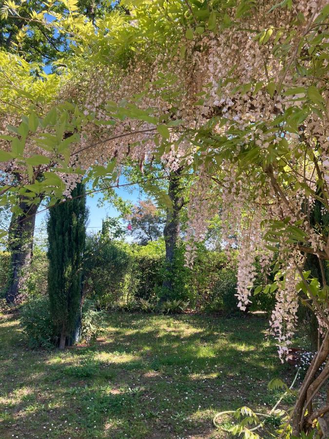 Tenuta Poggio Alla Farnia Fauglia Εξωτερικό φωτογραφία