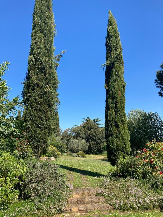 Tenuta Poggio Alla Farnia Fauglia Εξωτερικό φωτογραφία